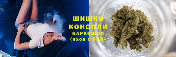 сатива Переславль-Залесский