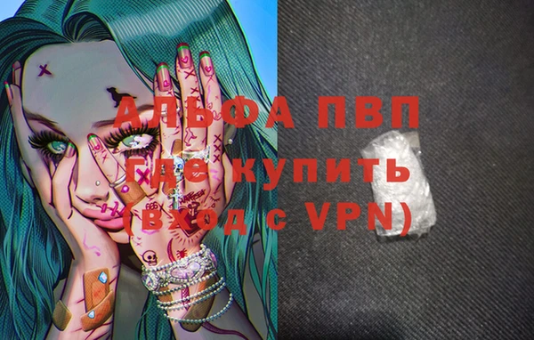 спиды Пестово