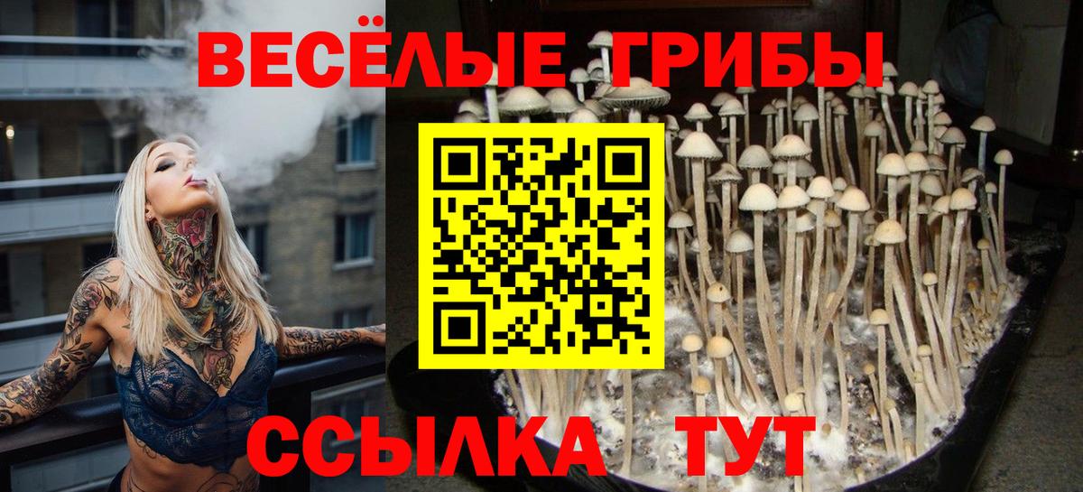 сколько стоит  Галлюциногенные грибы мицелий  Вход с VPN  Галлюциногенные грибы Psilocybe  Миасс 