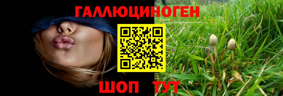 Псилоцибиновые грибы мицелий Миасс