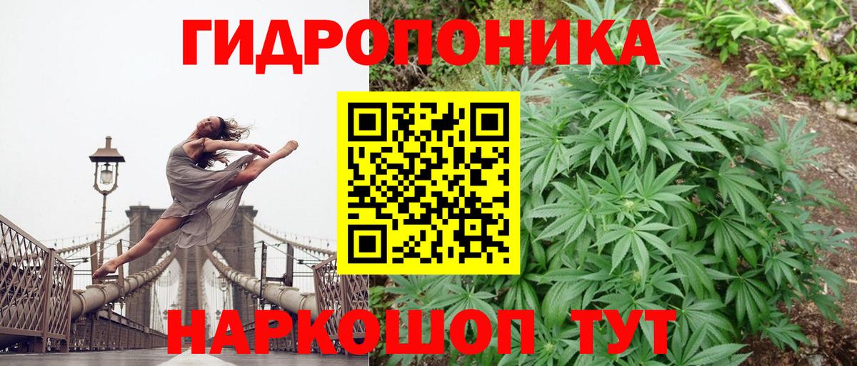 Бошки Шишки THC 21% Миасс